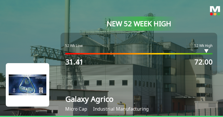 Broad-Based Technical Strength Lifts Galaxy Agrico Exports Ltd to 52-Week High of Rs 72