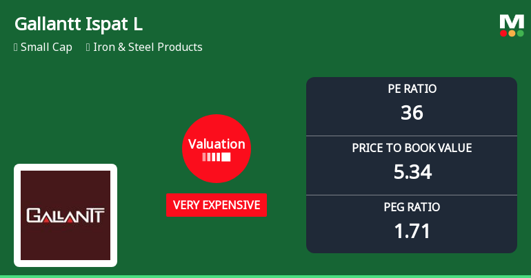 Gallantt Ispat Ltd: Valuation Shifts Signal Heightened Price Premium in Iron & Steel Sector