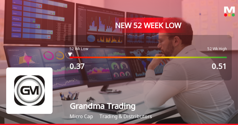 Markets Rally, But Grandma Trading & Agencies Ltd Sinks to 52-Week Low in Stock-Specific Sell-Off