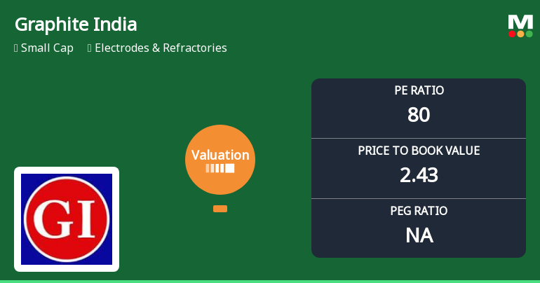 Graphite India Ltd: Valuation Shifts Signal Elevated Risk Amid Price Correction
