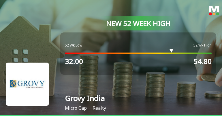 Broad-Based Technical Strength Lifts Grovy India Ltd to 52-Week High of Rs 54.8