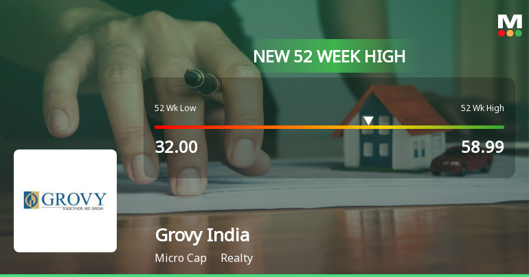 Broad-Based Technical Strength Lifts Grovy India Ltd to 52-Week High of Rs 58.99