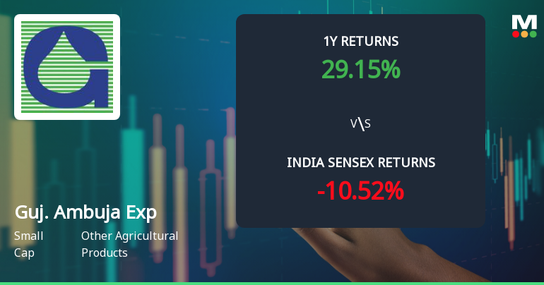 Gujarat Ambuja Exports Ltd Sees Mixed Technical Signals Amid Mild Momentum Shift