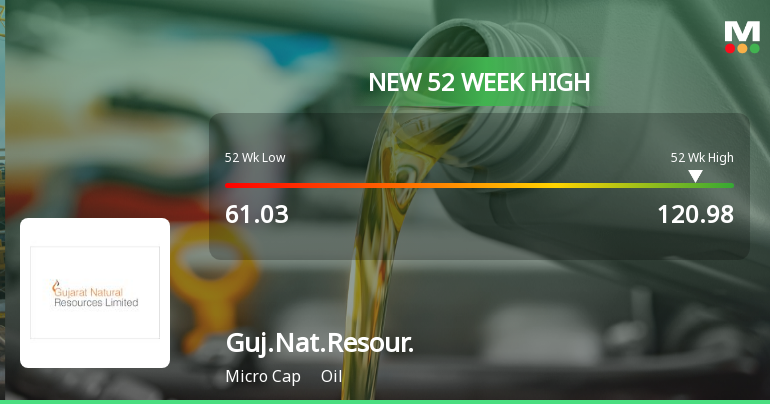 Broad-Based Technical Strength Lifts Gujarat Natural Resources Ltd to 52-Week High of Rs 120.98