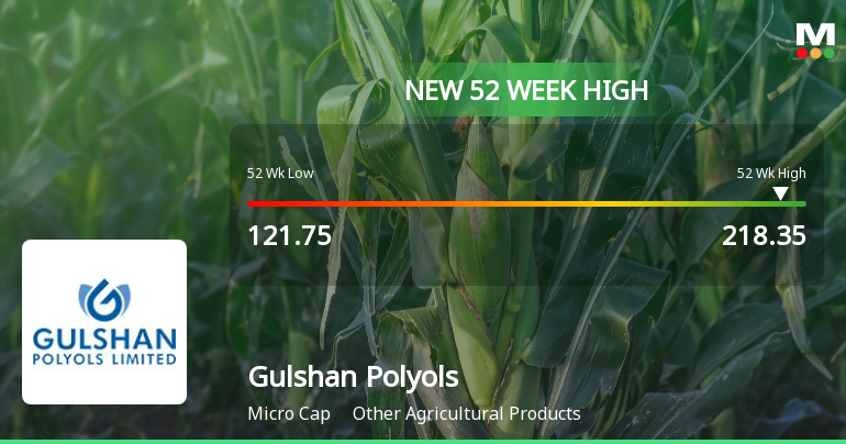 Broad-Based Technical Strength Lifts Gulshan Polyols Ltd to 52-Week High of Rs 218.35