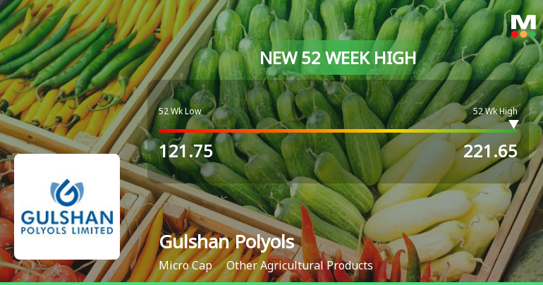 Broad-Based Technical Strength Lifts Gulshan Polyols Ltd to 52-Week High of Rs 221.7