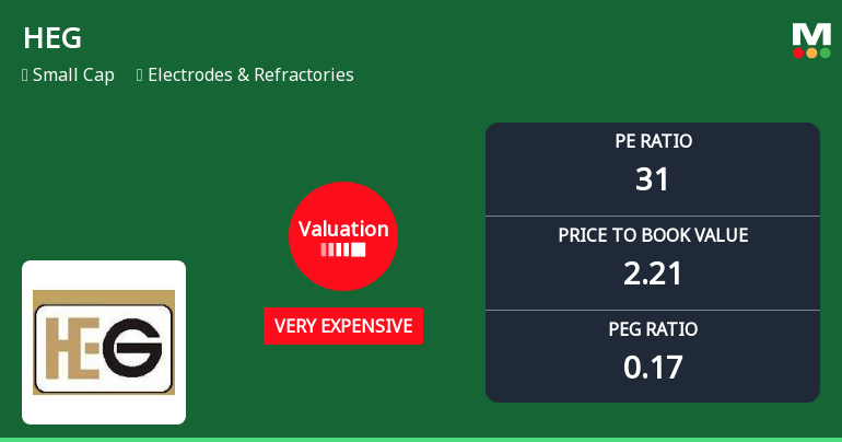 HEG Ltd Valuation Shifts Signal Changing Price Attractiveness Amid Market Volatility