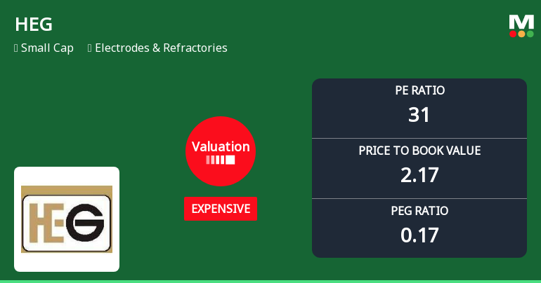 HEG Ltd Valuation Shift Signals Changing Price Attractiveness Amid Market Volatility