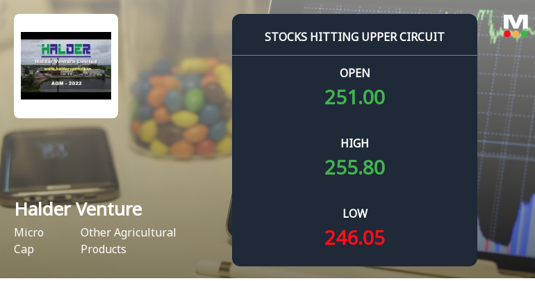 Halder Venture Ltd Locks at Upper Circuit With 10% Gain — Buyers Queue, Sellers Absent