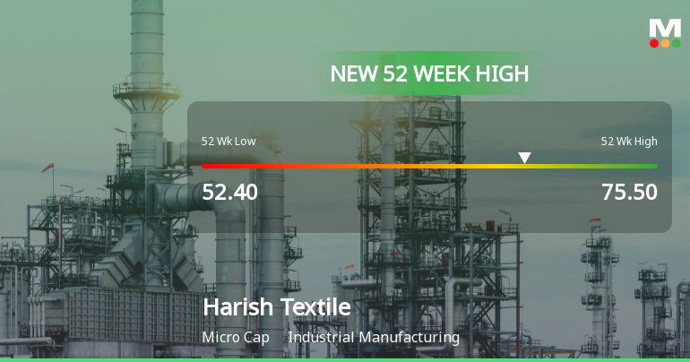 Broad-Based Technical Strength Lifts Harish Textile Engineers Ltd to 52-Week High of Rs 75.5