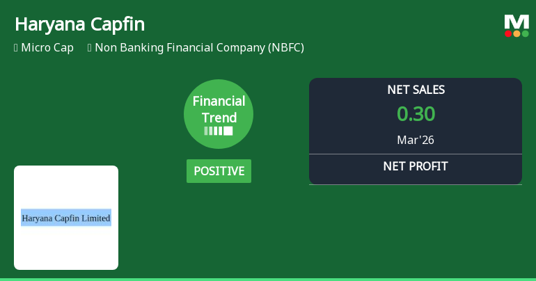Haryana Capfin Ltd Reports Positive Financial Turnaround in Q4 FY26 Amid Mixed Market Returns