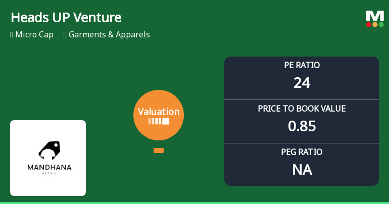 Heads UP Ventures Ltd Valuation Shifts Signal Elevated Risk Amid Sector Challenges