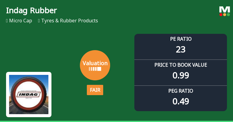 Indag Rubber Ltd Valuation Shifts Signal Changing Market Sentiment