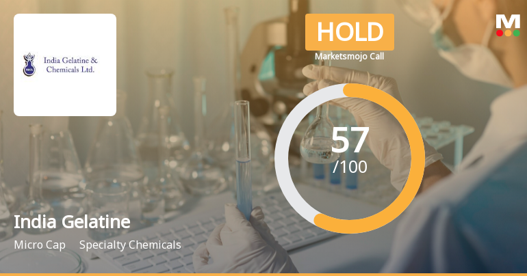 India Gelatine & Chemicals Ltd is Rated Hold