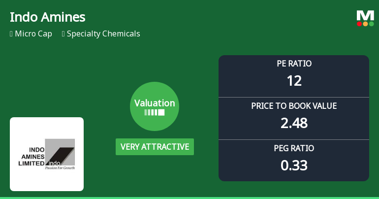Indo Amines Ltd Valuation Shifts to Very Attractive Amid Market Volatility