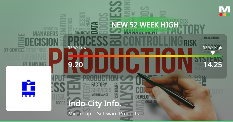 Broad-Based Technical Strength Lifts Indo-City Infotech Ltd to 52-Week High of Rs 14.25
