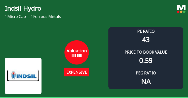 Indsil Hydro Power & Manganese Ltd Valuation Shifts Signal Price Attractiveness Challenges