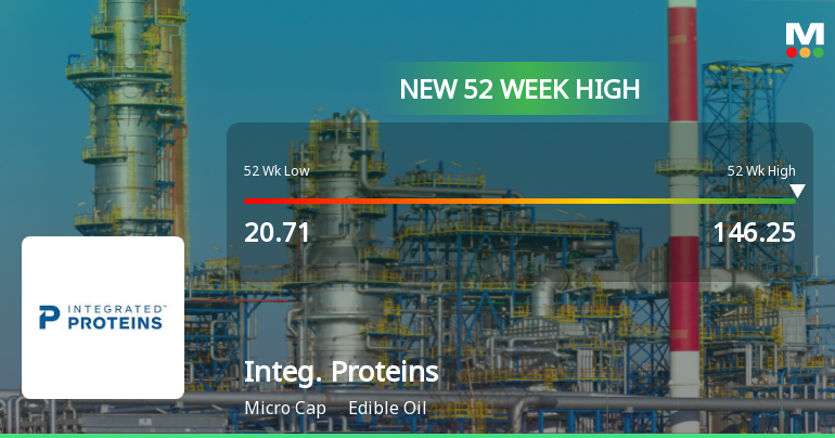 Broad-Based Technical Strength Lifts Integrated Proteins Ltd to 52-Week High of Rs 146.25