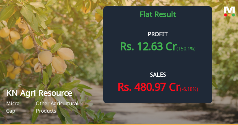 KN Agri Resources Q4 FY26: Profit Surge Masks Margin Pressures in Volatile Agri Commodities Market