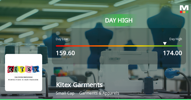 Kitex Garments Ltd Surges 7.55% to Day's High of Rs 173.3 — Outperforms Sector by 5.33 Percentage Points