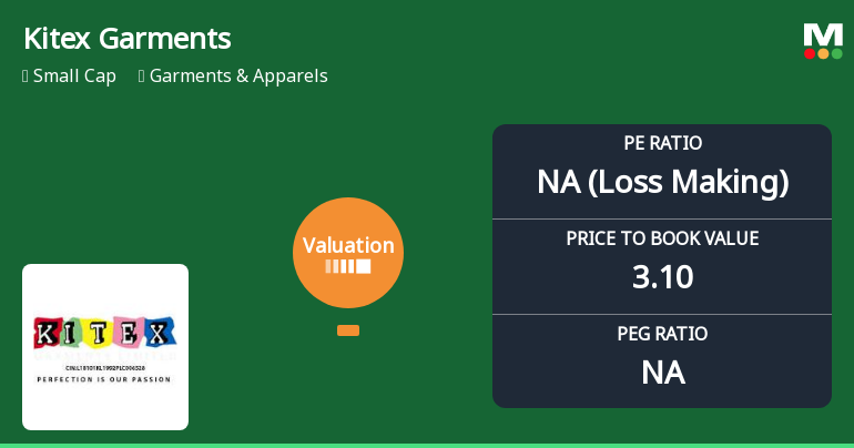 Kitex Garments Ltd Valuation Shifts Signal Heightened Risk Amid Market Challenges