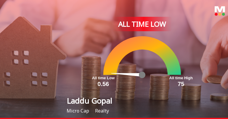 Laddu Gopal Online Services Ltd Extends Losing Streak to 8 Sessions, Touches All-Time Low