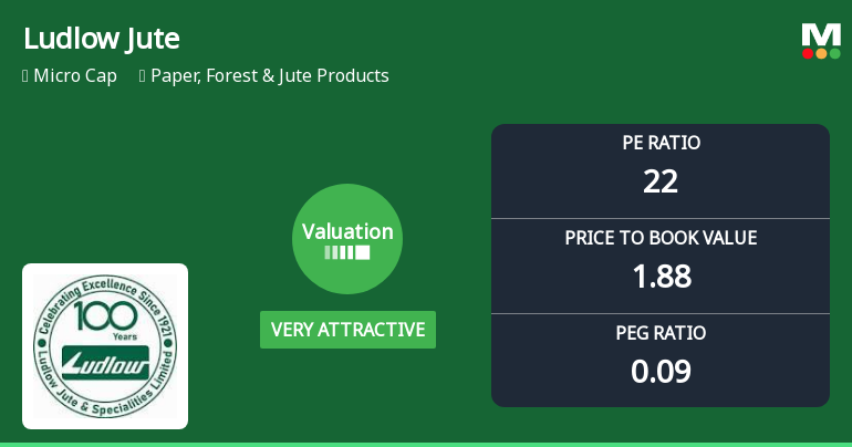 Ludlow Jute & Specialities Ltd Valuation Shifts Signal Renewed Investor Interest