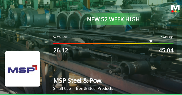 Broad-Based Technical Strength Lifts MSP Steel & Power Ltd to 52-Week High of Rs 45.04