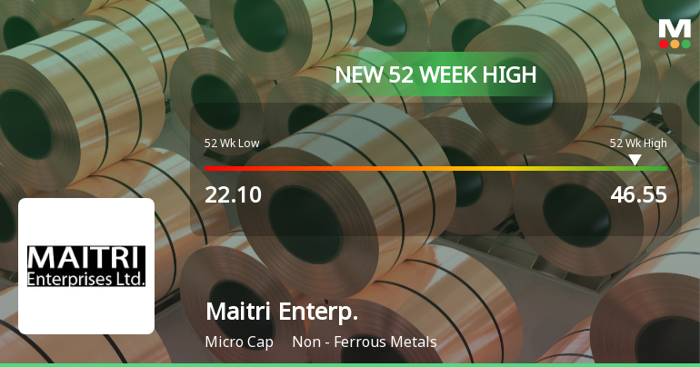 Broad-Based Technical Strength Lifts Maitri Enterprises Ltd to 52-Week High of Rs 46.55