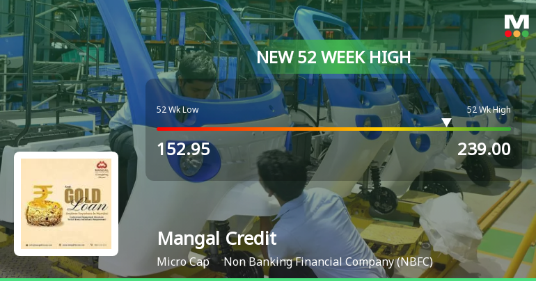 Broad-Based Technical Strength Lifts Mangal Credit & Fincorp Ltd to 52-Week High of Rs 239