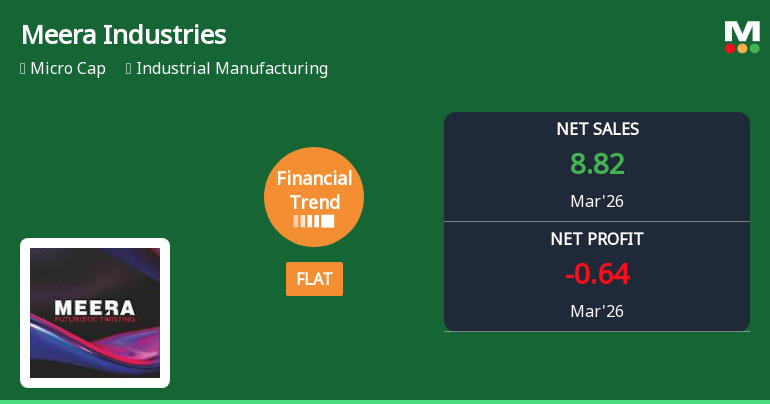 Meera Industries Ltd Reports Stabilised Quarterly Performance Amid Flat Financial Trend