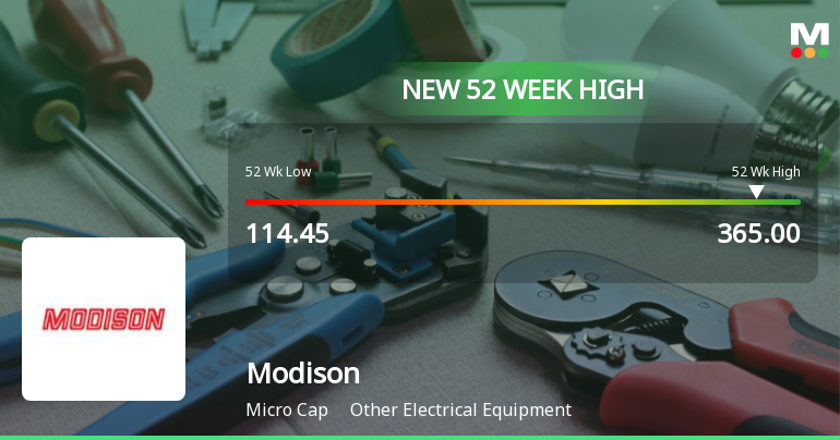 Broad-Based Technical Strength Lifts Modison Ltd to 52-Week High of Rs 365