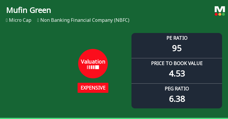 Mufin Green Finance Ltd Valuation Shifts Signal Price Attractiveness Change