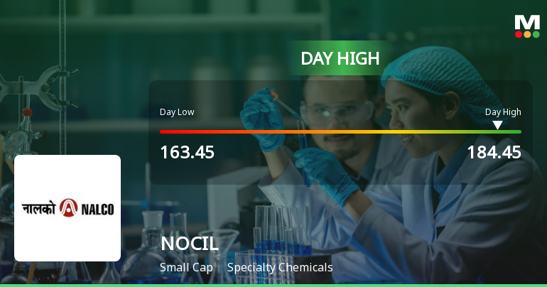 NOCIL Ltd Surges 13.24% to Day's High of Rs 179.15 — Outperforms Sector by 11.89 Percentage Points