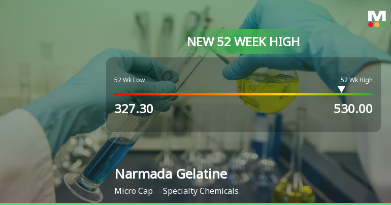 Broad-Based Technical Strength Lifts Narmada Gelatines Ltd to 52-Week High of Rs 530