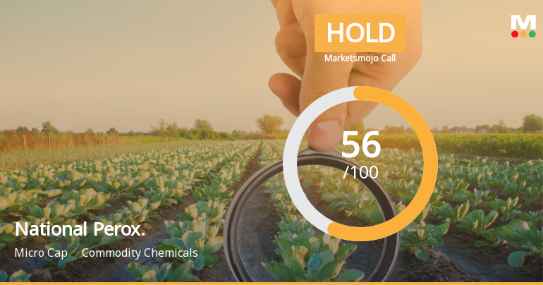 National Peroxide Ltd Downgraded to Hold Amid Mixed Financial and Technical Signals