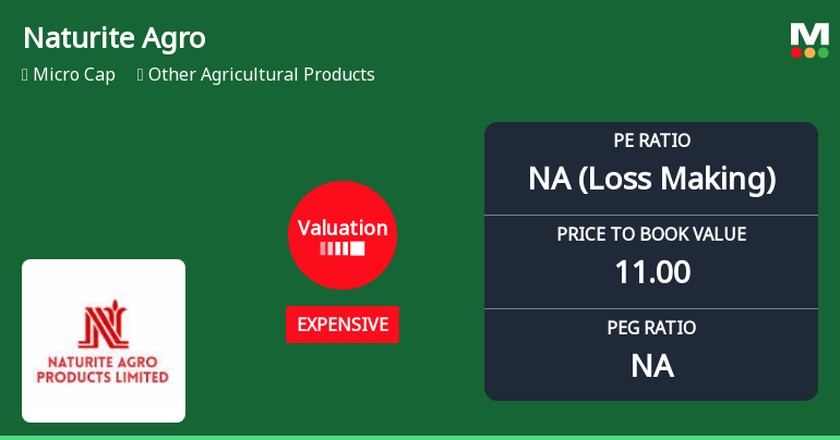 Valuation Shift Raises Concerns for Naturite Agro Products Ltd Amidst Mixed Returns