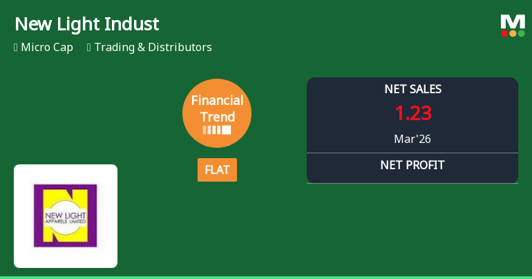 New Light Industries Ltd Reports Flat Quarterly Performance Amidst Lingering Financial Challenges
