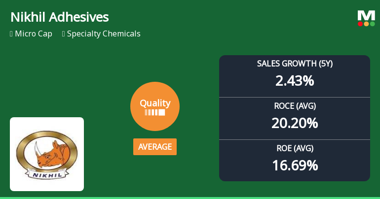 Nikhil Adhesives Ltd Quality Grade Downgrade: A Detailed Analysis of Business Fundamentals