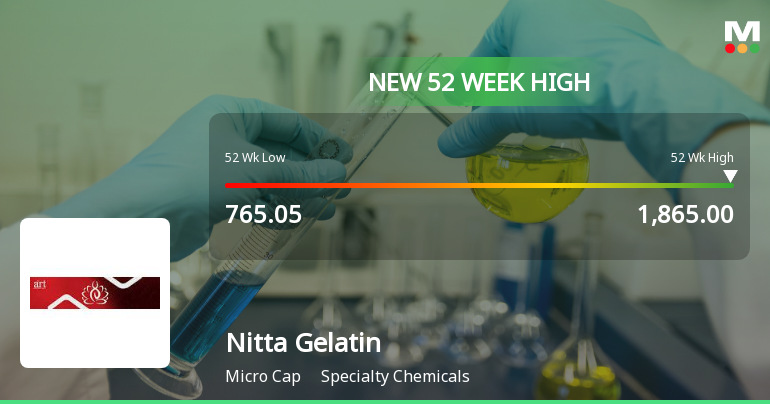 Broad-Based Technical Strength Lifts Nitta Gelatin India Ltd to 52-Week High of Rs 1865
