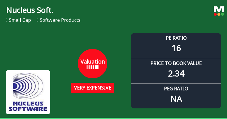Nucleus Software Exports Ltd Valuation Shifts Signal Heightened Price Risk