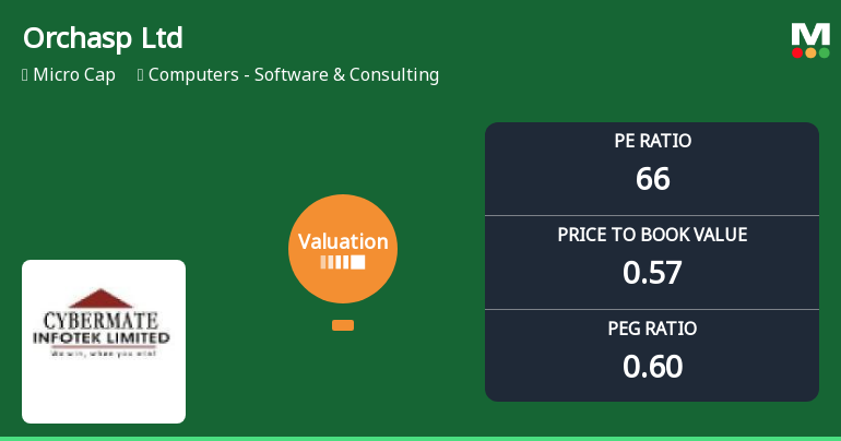 Orchasp Ltd Valuation Shifts Signal Elevated Risk Amid Software Sector Challenges
