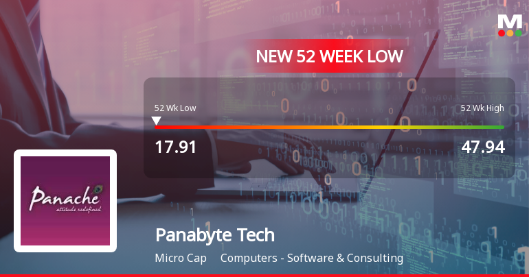 Five Consecutive Losses Push Panabyte Technologies Ltd to a New 52-Week Low