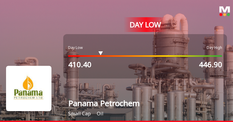 Panama Petrochem Ltd Hits Intraday Low Amid Price Pressure on 25 June 2026