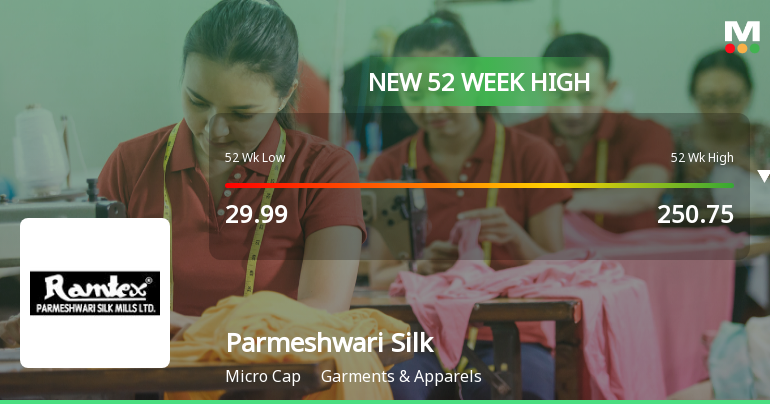 Broad-Based Technical Strength Lifts Parmeshwari Silk Mills Ltd to 52-Week High of Rs 263.25