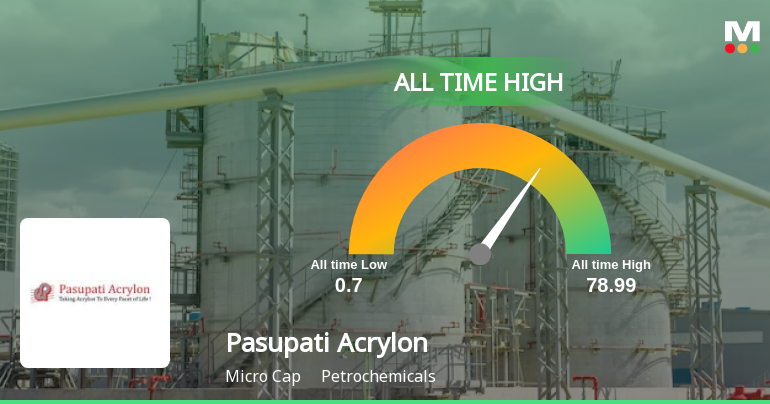 Pasupati Acrylon Ltd Hits All-Time High of Rs 76.99 as Momentum Builds Across Timeframes