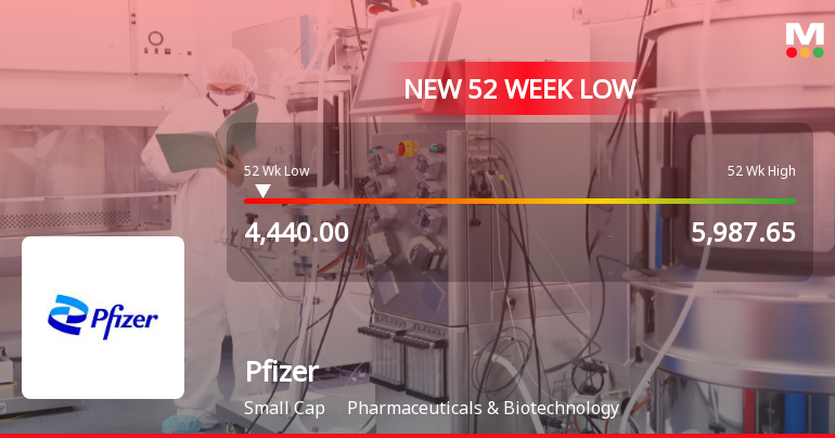 Markets Rally, But Pfizer Ltd. Sinks to 52-Week Low in Stock-Specific Sell-Off