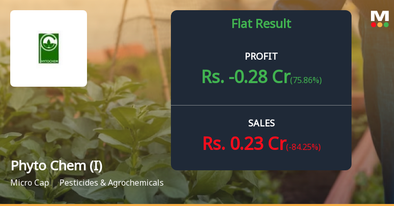 Phyto Chem (India) Q4 FY26: Deepening Losses Signal Fundamental Distress