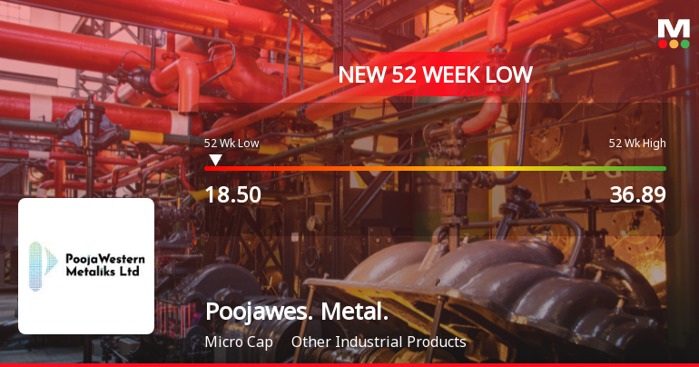 Poojawestern Metaliks Ltd Falls to 52-Week Low of Rs 18.5 as Sell-Off Deepens