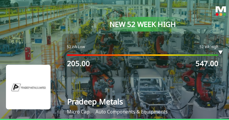 Broad-Based Technical Strength Lifts Pradeep Metals Ltd to 52-Week High of Rs 547